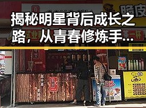 揭秘明星背后成长之路,从青春修炼手册到极限挑战的全网吃瓜汇总