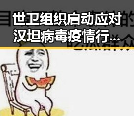 世卫组织启动应对汉坦病毒疫情行动之际 七年之痒娱乐吃瓜酱揭示明星反差魅力