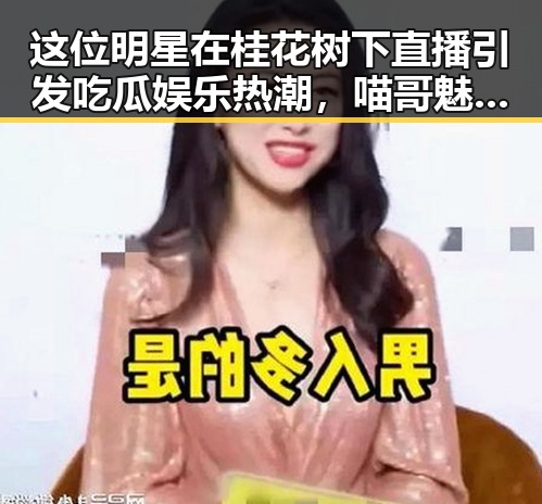 这位明星在桂花树下直播引发吃瓜娱乐热潮，喵哥魅力尽显成为影响力代表