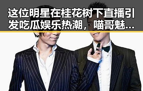 这位明星在桂花树下直播引发吃瓜娱乐热潮，喵哥魅力尽显成为影响力代表