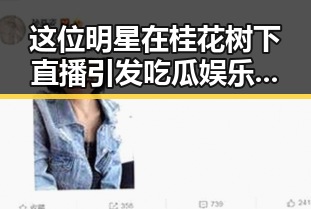 这位明星在桂花树下直播引发吃瓜娱乐热潮，喵哥魅力尽显成为影响力代表