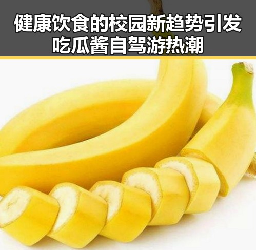健康饮食的校园新趋势引发吃瓜酱自驾游热潮