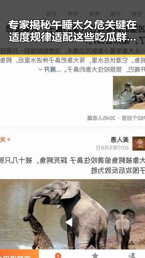 专家揭秘午睡太久危关键在适度规律适配 这些吃瓜群众对天价彩礼和明星绯闻都很感兴趣